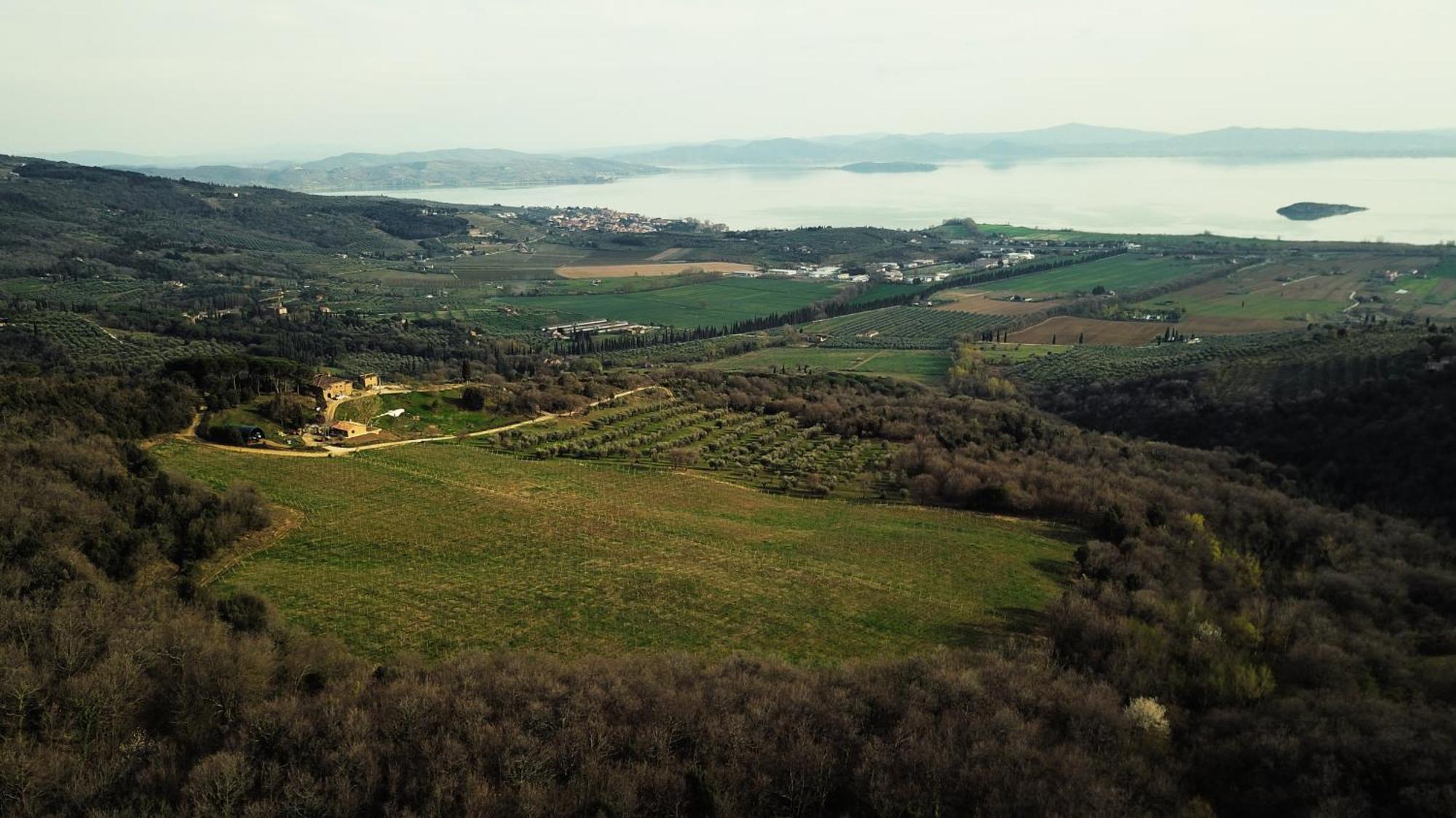 Di Colle In Colle - Agriturismo Passignano sul Trasimeno Exterior foto